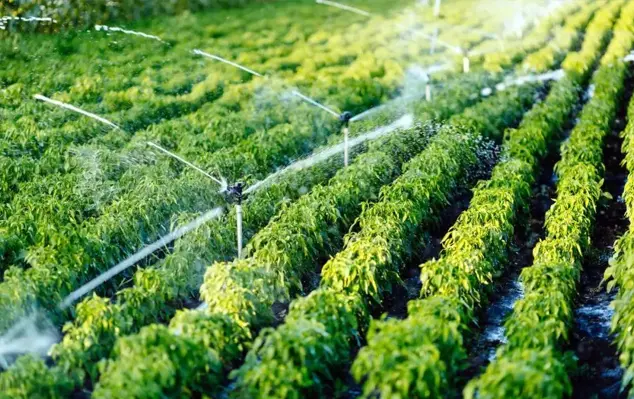 Agricultural Irrigation
